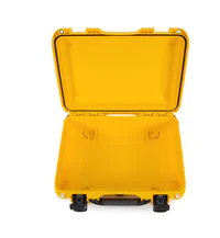 Nanuk 923 Case