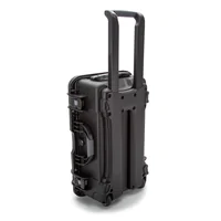 Nanuk 935 Case with Lid Org and N-Cubik 13L Padded Bag - with Wheels