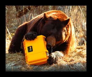 Peli Storm iM2100 Case With Foam SPECIAL OFFER