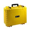 B&W Outdoor Case Type 6000