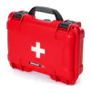 Nanuk 909 Case