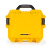 Nanuk 905 Case