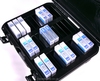 Turtle 07-039008 30 LTO/3592 Waterproof - 30 Capacity LTO
